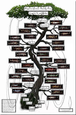 familytree-web.jpg